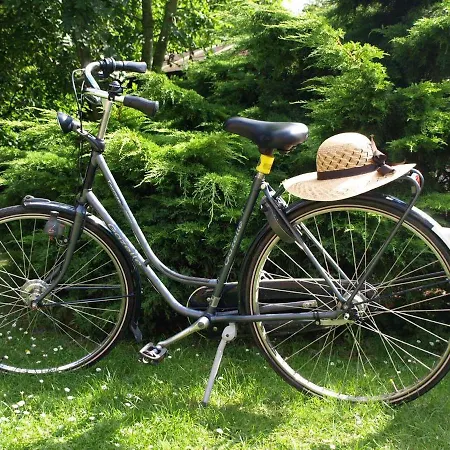 *weigelt - Issy Greetsiel