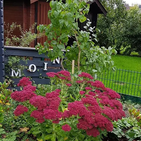 *weigelt - Issy Greetsiel