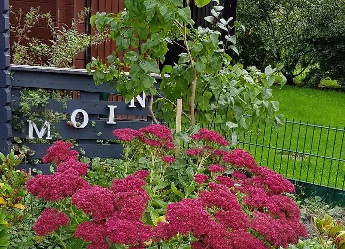 *weigelt - Issy Гретзиль